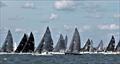 Charleston Race Week at Patriots Point welcomes the Melges 24 Class, and proud to host the fourth event on the International Class' North American Sailing circuit