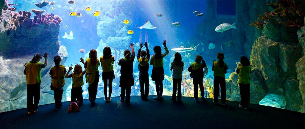 The National Marine Aquarium in Plymouth will play a key role in the education programme associated with the GGR © Golden Globe Race