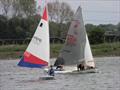 Nayth Twiggs fifth overall and first junior in the Border Counties Midweek Sailing at Shotwick Lake: © John Neild