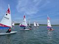 Rooster Southern Topper Traveller Series Event 2 at Portchester Sailing Club © Jo Miller